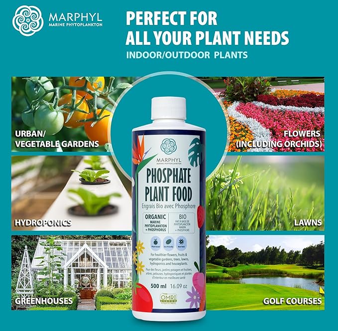 MARPHYL Organic Liquid Phosphate Soil Enhancer – Phosphorus Fertilizer for Root Development &amp Bloom Support Ideal for Garden Flowers Vegetables Succulents &amp Hydroponics