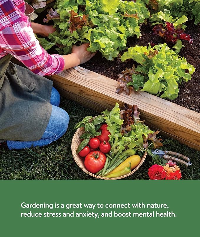 Burpee Garden Sown Flower Herb &amp Vegetable 10 Packs of Non-GMO Basil Lettuce Cucumber Radish Spinach Kale Zucchini Sunflower &amp Marigold Seeds for Planting