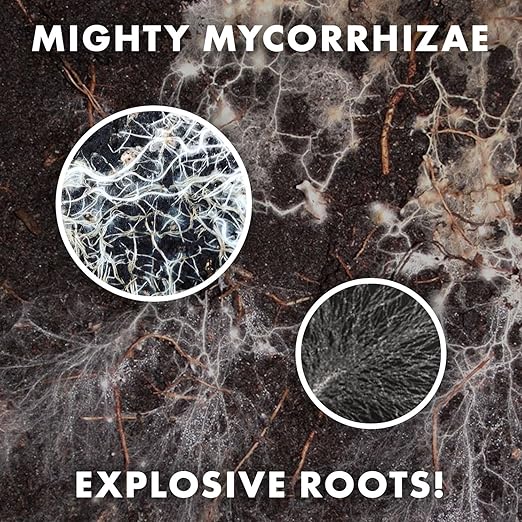 Mycorrhizae 16 Species Inoculant (5 lb) Improves Drought Tolerance + Saves Precious Water + Fertilizer Root Stimulator • Explodes Root Growth [5 lb Treats 96000 (4 inch) Plants]