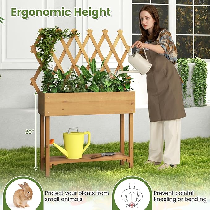 Giantex Raised Garden Bed on Wheels Rolling Planter Boxes with Trellis Storage Shelf &amp Black Liner Indoor Outdoor Wood Raised Bed for Flower Climbing Vine 36”x12”x51”