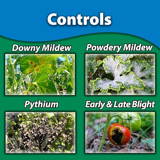 Monterey Complete Disease Control Bundled with Measuring Spoon - Fungicide &amp Bactericide for Control of Garden &amp Lawn Diseases - 8 oz
