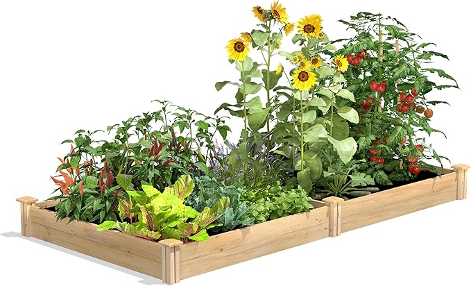Greenes Fence Premium Cedar Raised Garden Bed 4' x 8' x 7 (3/4 Thick) (2-Pack) - Made in USA with North American Cedar