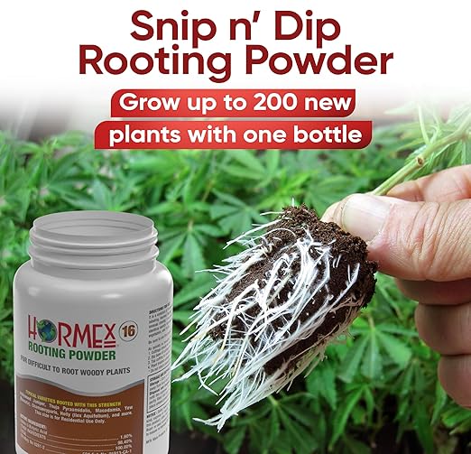 Hormex Rooting Powder #16 (1.60% IBA) for Difficult Hardwood Plants &amp Trees - Maximum Strength Root Powder Root Stimulator for Plants Rooting Hormone for Cuttings Cloning &amp Propagation