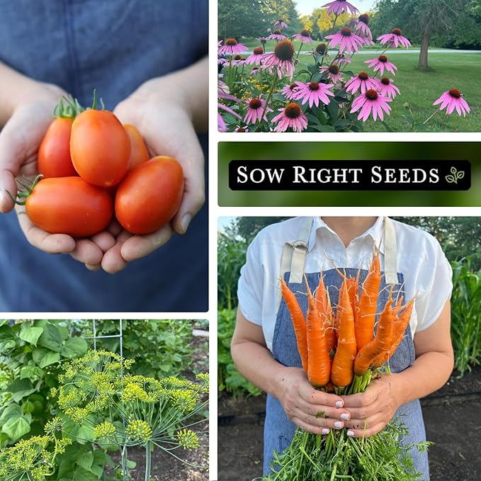 Sow Right Seeds - Complete Garden Seed Collection for Planting - 45 Non-GMO Heirloom Vegetable Herb and Flower Varieties - Every Seed You Need to Plant and Grow a Bountiful Home Garden - Great Gift