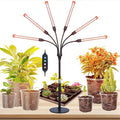 FECiDA 2026 6Head Table Top Grow Lights for Seed Starting Indoor Plants Bonsai 54 Watt Power Draw NO Need Adapter 4/8/12/16/20H Timer 16-24 Height Adjustable Big Coverage