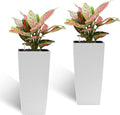 Square Planter for Indoor or Outdoor Use 22 Inch High Faux Rattan Flower Pot with Automatic Watering System for Porch Patio Backyard Makes Keeping Flowers Easier (Pack of 2 White)