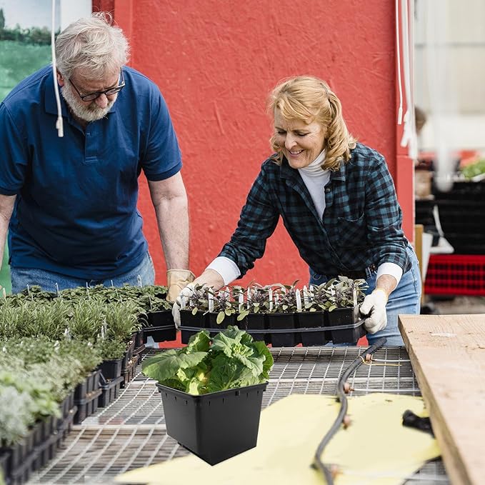 1set Hydroponic Planting Nursery Box Soilless Cultivation for Vegetables Fruits for Greenhouse Balcony Gardens and Flower Nursery Production