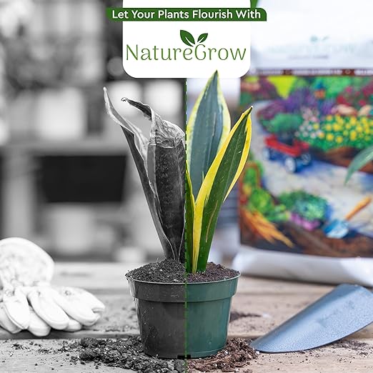 Earth Worm Castings 15LB - Organic Fertilizer Includes Humic Acid - Pure Worm Castings for Gardening