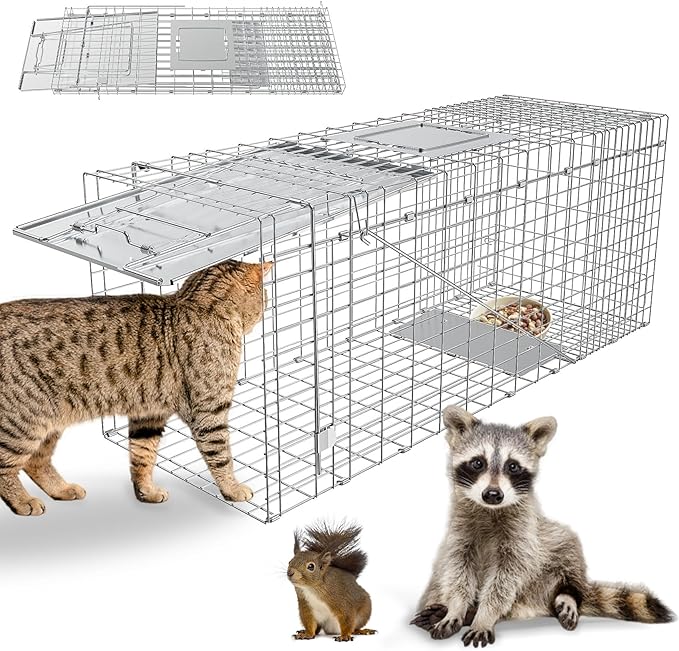 Humane Live Animal Trap Heavy Duty Folding Raccoon Traps Cage for Cat Squirrel Skunk Raccoon Fox Catch and Release Large Size 31.1 * 11 * 12.6 Inch
