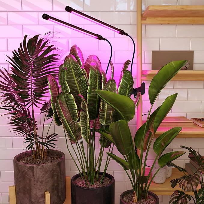Solar Grow Lights with Batteries 2 Heads Clip Plant Growing Lamp with Red Blue Spectrum for Indoor Plants 3/9/12H Timer 3 Dimmable Level Adjustable Gooseneck3 Switch Modes Auto On Off