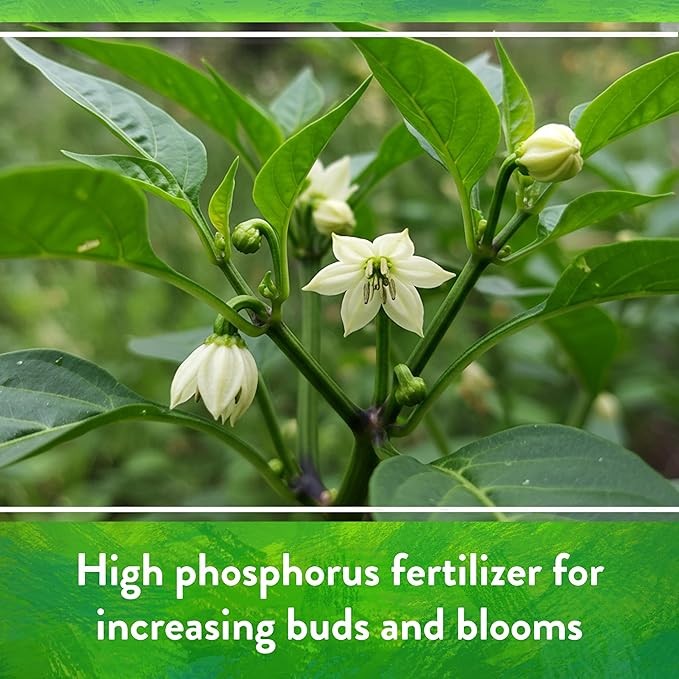 Down To Earth All Natural Fertilizers Organic Seabird Guano - High Phosphorus Plant Food for Buds Blooms Flowers 0-11-0 20 lb