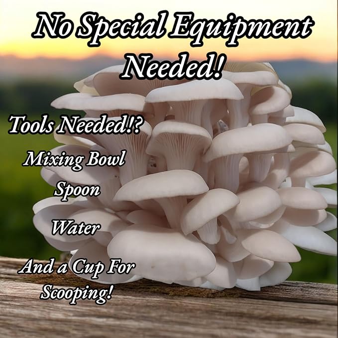 Four All in One Mushroom Grow Kits with Yellow Blue Florida and Pink Oyster Complete Cultivation Set