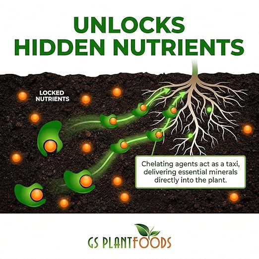 GS Plant Foods Root Ruckus Compost Fertilizer Organic Plant Food - Turbo Charged Compost for Plants - Humic Acid &amp Sea Kelp Nutritional Root Supplement for Lawns Soil Shrubs &amp Vegetables - 1