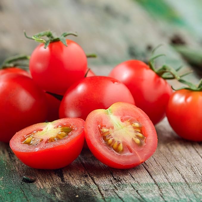 Tomato Seeds - Tiny Tim - 0.25 Oz ~2500 Seeds - Solanum lycopersicum - Farm &amp Garden Vegetable Seeds - Non-GMO Heirloom Open Pollinated Annual