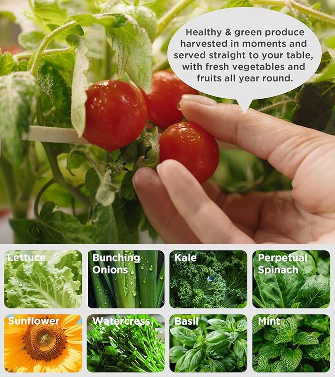 Hydroponics Growing System Kit48 Pods Large Indoor Hydroponic Herb Garden with Smart LED Grow Light Auto Circulating Water Pump24L Water TankAPP &amp WiFi ControlledGardening Systems for Ideal G