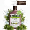 Organic Lawn Fungicide – 16oz Ready-to-Spray Hose-End Lawns Trees &amp Shrubs – Targets Brown Patch Dollar Spot Rust Powdery Mildew &amp Root Rot – Kid- &amp Pet-Safe Coverage up to 16000 sq