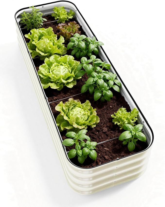 DaisyVibe Raised Garden Bed Kit Planter Raised Garden Boxes Outdoor Oval Large Metal Raised Garden Beds for Vegetables Flowers (White 6.5ftx2ftx1ft)