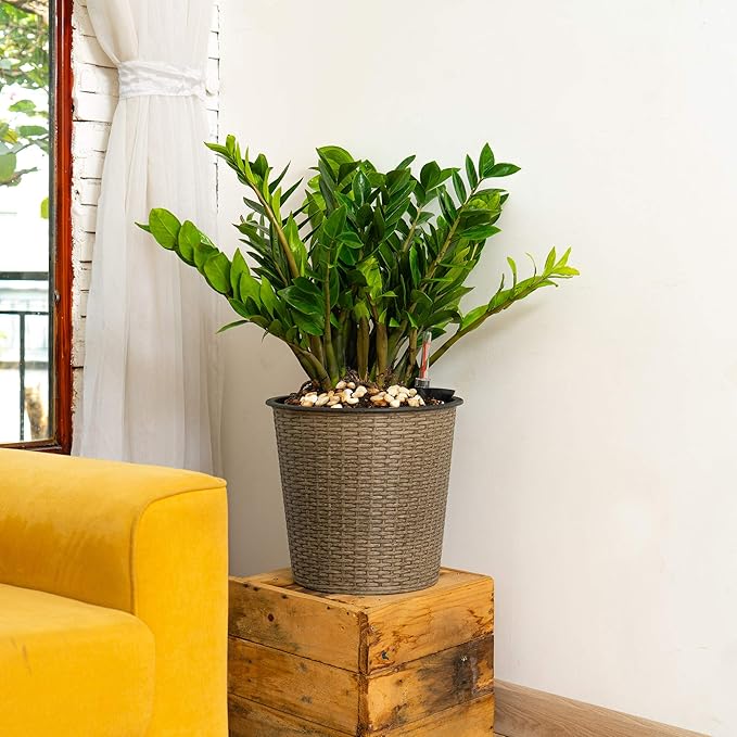 13 in.Gray Wicker Self Watering Planter