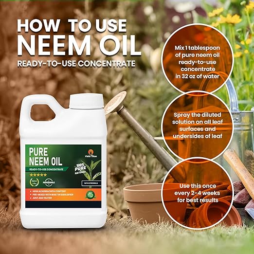 Pure Ready-to-Use Neem Oil Concentrate with Citronella - 100% Pure &amp Natural Just add Water (1 Gallon)