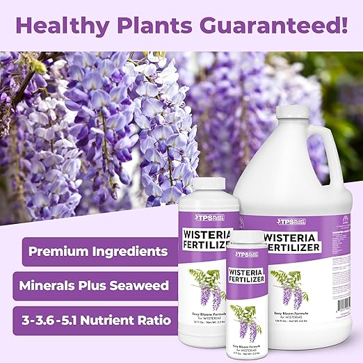 Wisteria Fertilizer – Liquid Plant Food for More Blooms Stronger Vines &amp Healthy Root Development 32 oz