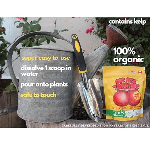 Big A Tomato Premium Organic Fertilizer with Kelp 13.5oz Indoor/Outdoor Plant Fertilizer