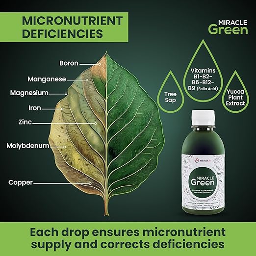 Miracle Green Fast-Acting Liquid Plant Food - Special Formula with Tree Sap &amp Yucca Plant Extract - All-Purpose Fertilizer for Houseplants Flowers Fruits Vegetables &amp Trees (16 oz)