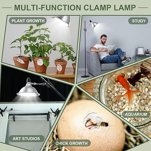 Macarrie 8 Pack Clamp Lamp Light with Aluminum Reflector 6ft SPT-2 18awg Cord and Adjustable Stand Fixture up to 150 Watt E26 Socket No Bulb(5.5 Inch)