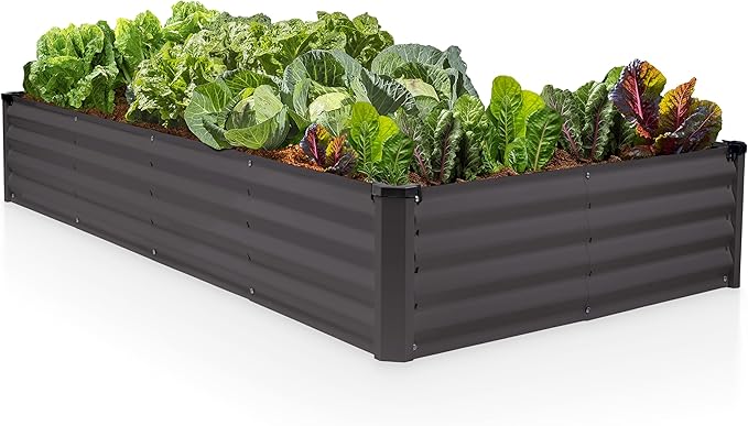 Plant &amp Plot Galvanized Raised Garden Beds Outdoor // 6×3×1 ft Planter Raised Beds for Gardening Vegetables Flowers // Large Metal Garden Box // Patented Tool-Free Design (Dark Gray)