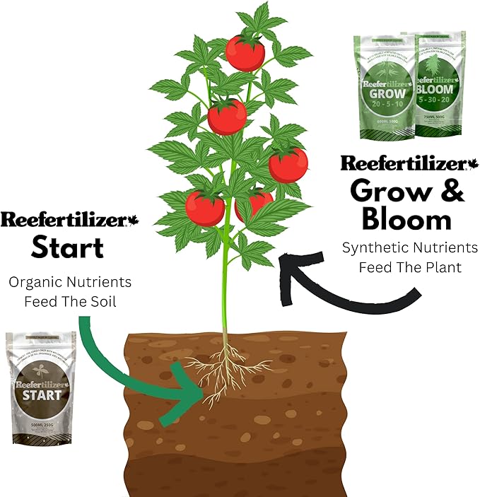 Start | Mycorrhizal Fungi &amp Organic Kelp Meal Soil Booster for Transplant and Top Dressing | Root Enhancer and Living Soil Booster
