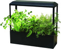 Modern Sprout Smart Growhouse - LED Grow Light for Indoor Plants - Plant Grow Light for Indoor Gardening System - Countertop Planter for Herb Garden with Smart App Control - Matte Black