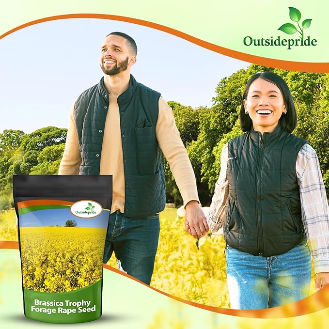Outsidepride Trophy Forage Rape Seed - 10 Lbs Heat Cold &amp Drought-Tolerant Brassica Food Plot Seed Ideal for for Deer &amp Livestock Grazing Fall Planting Soil Improvement &amp Erosion Cont
