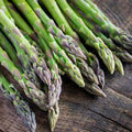 Asparagus Vegetable Garden Seeds - Mary Washington - 1 Lb Bulk - Non-GMO Heirloom Gardening Seed