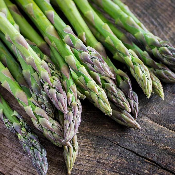 Asparagus Vegetable Garden Seeds - Mary Washington - 1 Lb Bulk - Non-GMO Heirloom Gardening Seed