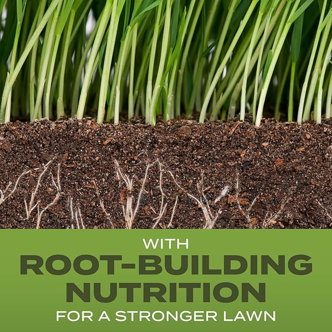 Scotts Turf Builder Grass Seed Tall Fescue Mix with Fertilizer and Soil Improver Resists Harsh Conditions 32 lbs.