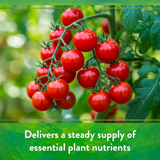 Down To Earth All Natural Fertilizers Organic All Purpose Tomato &amp Vegetable Mix - Plant Food for Tomatoes Peppers Herbs and Flowers 4-6-2 25 lb
