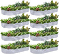 8 Pack 6x3x1FT Galvanized Raised Garden Bed Kit Oval Metal Ground Planter Box Outdoor Bottomless Planter Raised Beds for Vegetables Flowers Herbs Fruits Gray