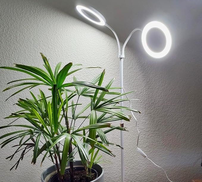 Grow Lights for Indoor Plants 2-Head Full Spectrum LED Plant Light with Stand 67 Adjustable Height 3/9/12H Timer 10 Dimmable Levels &amp 3 Lighting Modes