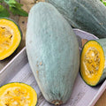 Eden Brothers Squash (Winter) Seeds - Guatemalan Blue Non-GMO Seeds for Planting 1 oz | Low-Maintenance Vegetable Seeds Plant During Warm Season Zones 10 3 4 5 6 7 8 9