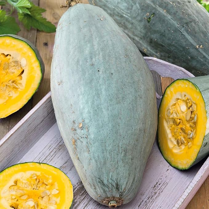 Eden Brothers Squash (Winter) Seeds - Guatemalan Blue Non-GMO Seeds for Planting 1 oz | Low-Maintenance Vegetable Seeds Plant During Warm Season Zones 10 3 4 5 6 7 8 9