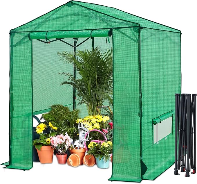 6x6 Pop Up Greenhouse Instant Walk in Green House with PE Cover Power Ports Roll up Doors &amp Windows for Indoor Outdoor Plant Growing Green