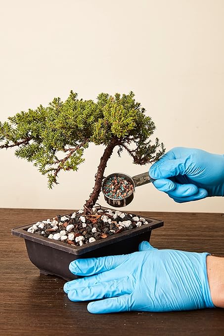 Organic Bonsai Fertilizer by The Bonsai Supply – 3Lbs | Quick Results | Micro Nutrients for Vital Bonsai Health.