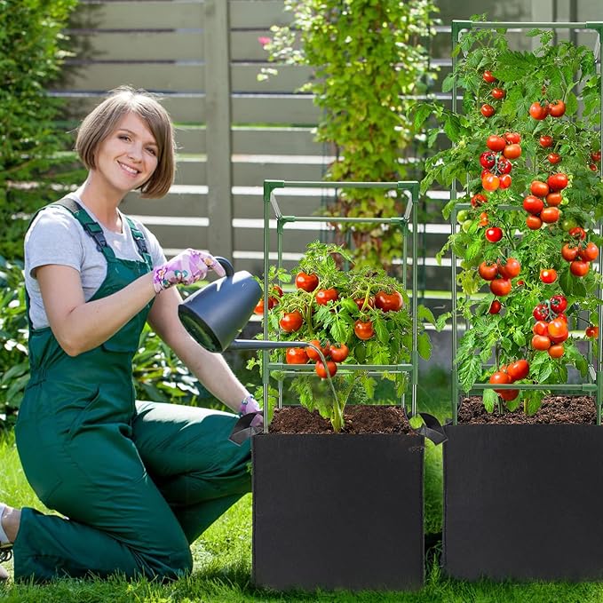 ANPHSIN 2 Sets Tomato Cages with 10 Gallon Grow Bags - 47'' Stable Plant Support Trellis Kit Square Cages with Planter Pots for Garden Flowers Vegetables Cucumber Vertical Climbing Plants Vines
