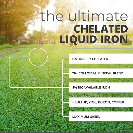 Greenday IronGro | High Grade Chelated Liquid Iron for Lawn and Garden Boost | Super Green+ Fertilizer | 32 oz Lawn Sprayer up to 5000 sq ft