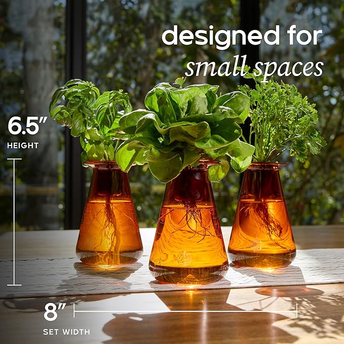 Counterstand Set – Vase Plant for Indoor Edible Garden Kit for Herbs &amp Lettuce – Small-Space Hydroponic System – Home Decor &amp Gifting – No Glow Lamp
