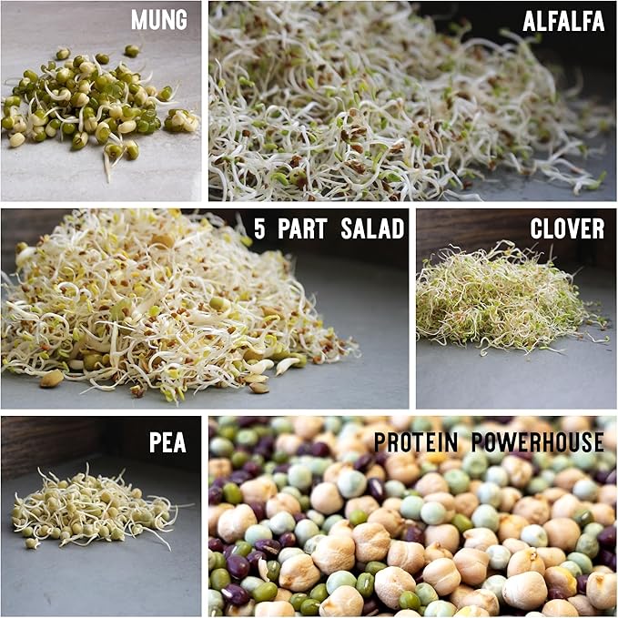 12 Variety Pack Organic Sprouting Seeds - Fully Raw Kristina's Sprouts Growing Kit with Sprouting Lid &amp Book - Alfalfa Seeds Mung Bean Radish Clover Seed Salad Mix Pea Health Blend &amp Mo