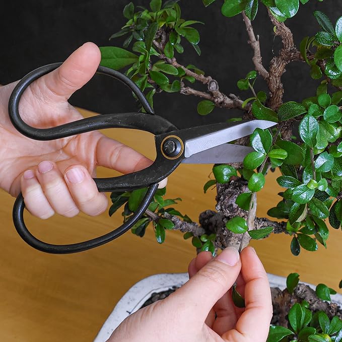 Professional Bonsai Butterfly Scissors | Pruning Shears for Trimming Plants | Japanese Gardening Bonsai Tools | Garden Scissors
