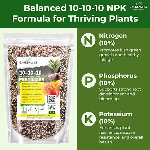 10-10-10 Plant Fertilizer Slow Release - 10 10 10 All Purpose Granular Garden Fertilizer for Vegetables Tomato Arborvitae Shrubs Rose Flowers Fruit Fig Trees (4 QUARTS)