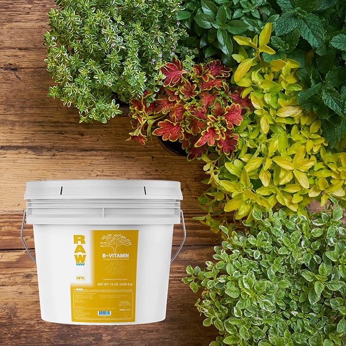 RAW B Vitamin 10lb - Essential Plant Growth Booster with B Complex and Magneseum Sulfate - Promotes Healthy Development Increased Yield and Enhanced Nutrient Absorption