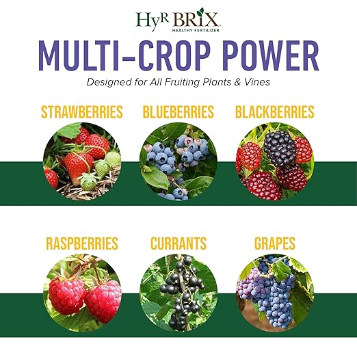 HyR BRIX Slow-Release 6-8-9 Fruit &amp Berry Fertilizer 45lb Bag - Plant Food with Calcium &amp Sulfur - Essential Micronutrients for Better-Tasting Fruit &amp Higher Yields
