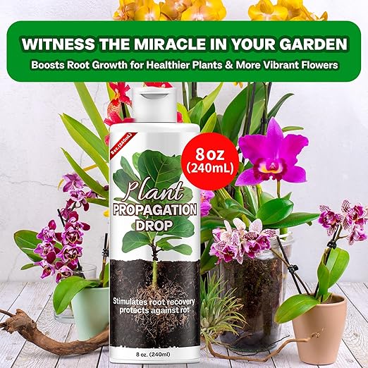 Plant Propagation Drops Prop Solution for Healthier Roots &amp Recovery of Struggling Houseplants 8oz.